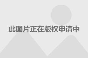 比亞迪上市動(dòng)態(tài)及小巷特色小店的探索之旅！