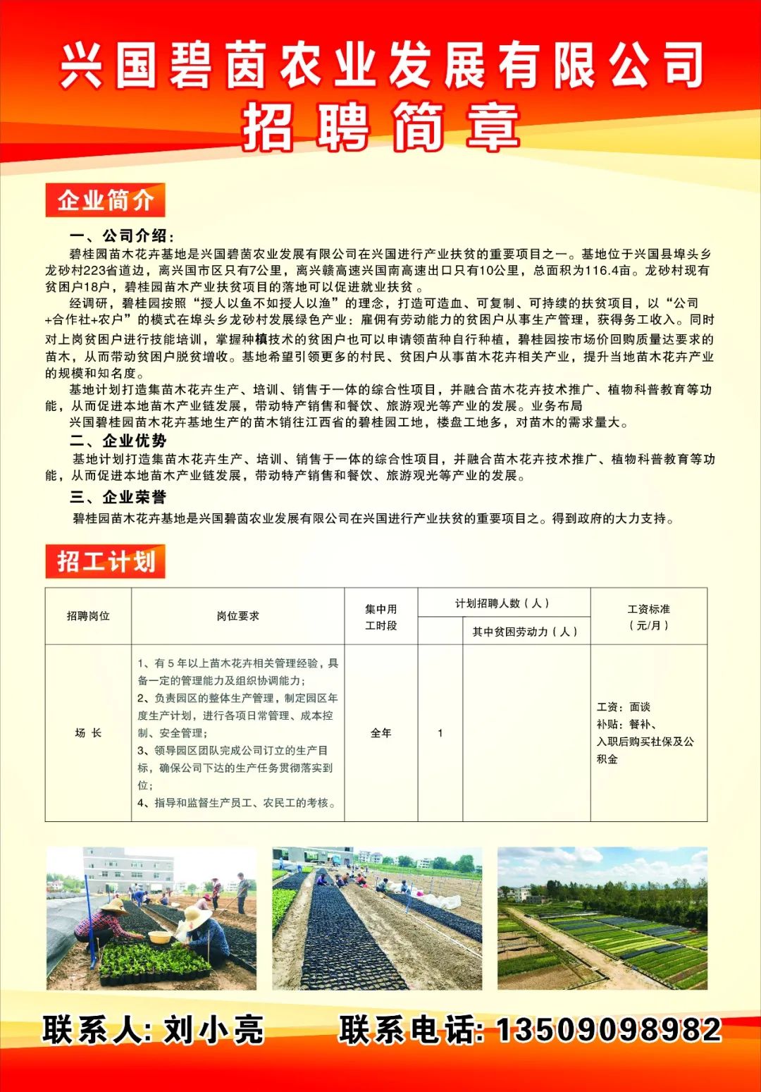 興國臨時工招聘信息，科技助力求職新紀(jì)元，輕松找到心儀工作