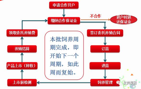 ＂新澳精準(zhǔn)四肖期期中特優(yōu)勢＂的：數(shù)據(jù)驅(qū)動決策_(dá)別致版5.19