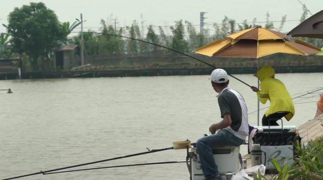 垂釣盛宴，深度解讀一場釣魚比賽的魅力與競技精神