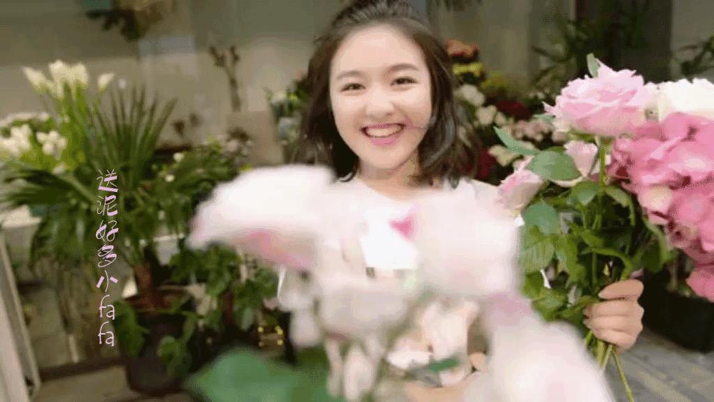 小紅書風(fēng)格明星介紹英文作文