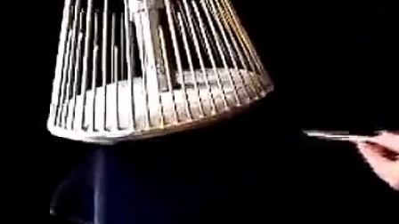 水琴最新發(fā)展與演變概述