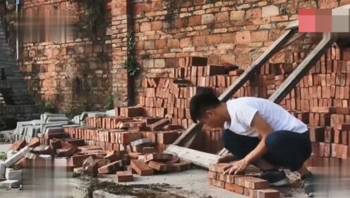 搬磚小偉最新動態(tài)揭秘，大自然中的治愈之旅