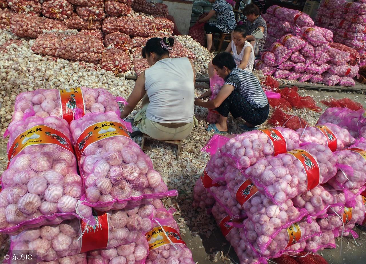 今日大蒜最新價(jià)格行情,今日大蒜最新價(jià)格行情分析