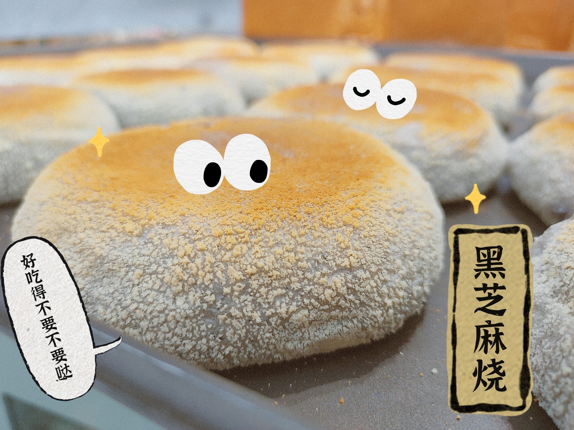芝嫲新動態(tài)揭秘，自然美景之旅，探尋內心平和與寧靜的旅程