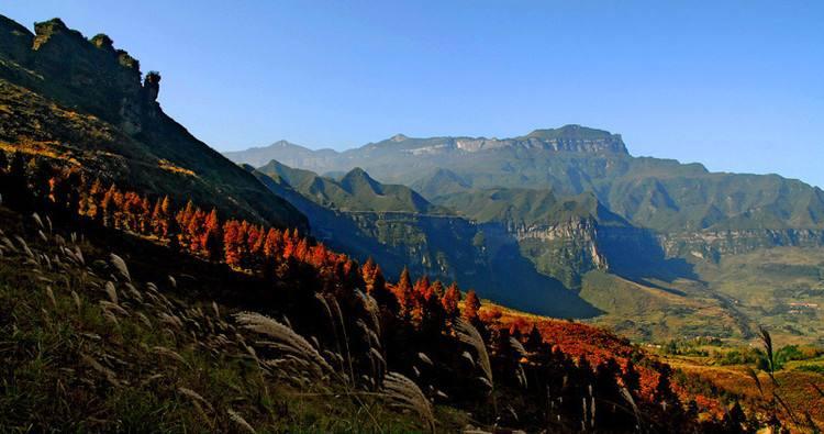 南川方竹論壇最新招聘,數(shù)字時代的文化浪潮與人才匯聚平臺