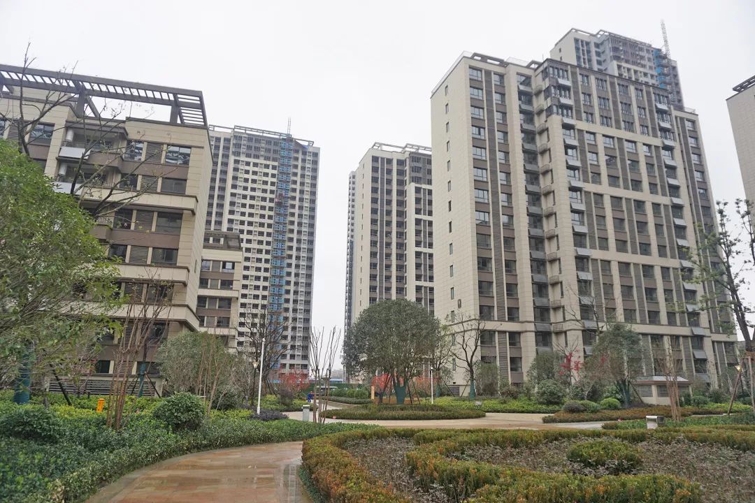 安慶天下名筑最新動態(tài)及相關論述揭秘