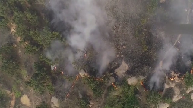 小珠山火災(zāi)最新情況及應(yīng)對山林火災(zāi)的步驟指南