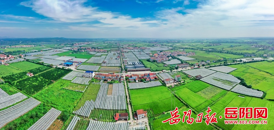 汨羅建設最新動態(tài)，城市發(fā)展的前沿觀察與展望