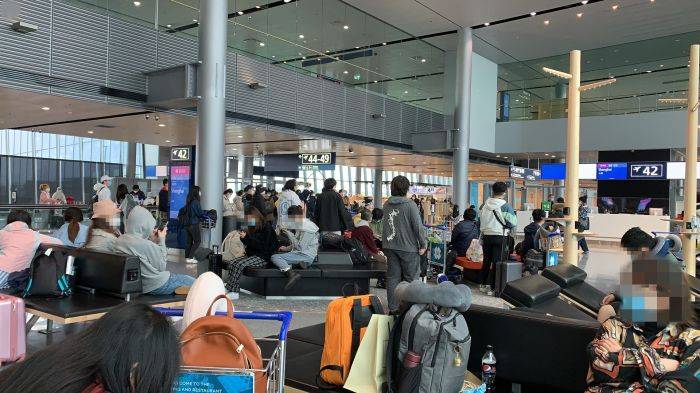 最新登機(jī)服，輕松探索自然美景的時(shí)尚之旅