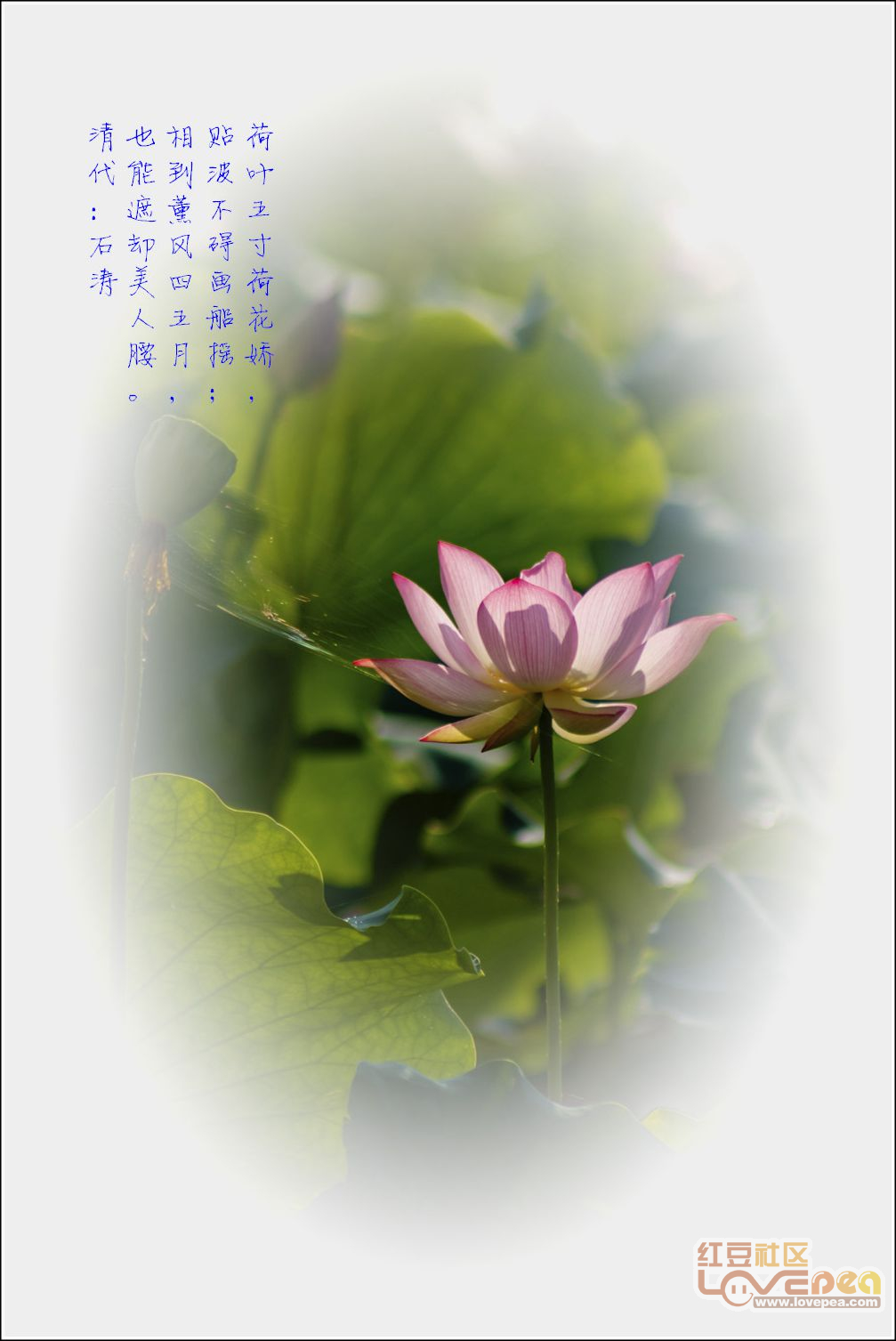 復(fù)合實(shí)木多層板 第89頁(yè)