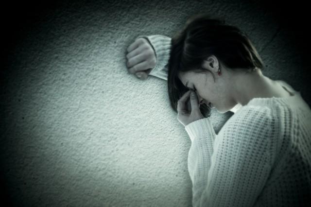 野花最新網(wǎng)，展現(xiàn)自信與成就的花朵盛宴