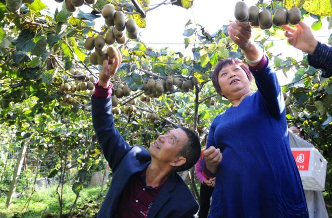 蒼溪新聞最新消息，高科技產(chǎn)品引領(lǐng)未來，開啟全新生活體驗(yàn)