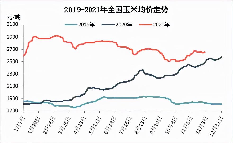 全國玉米最新價格及市場走勢分析與預測報告