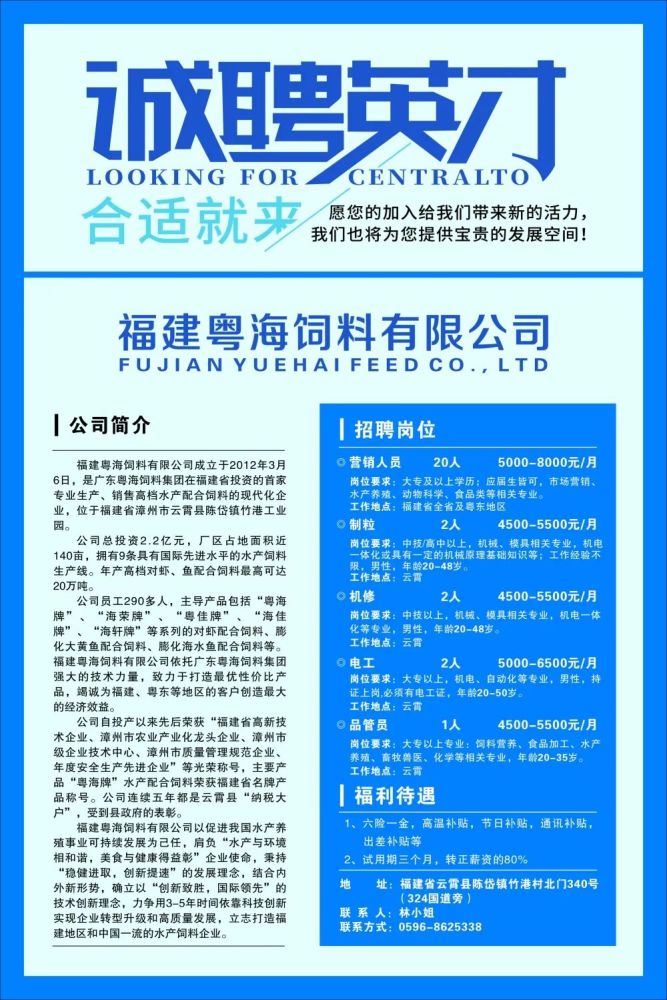 云霄最新招聘啟事，啟程探索自然美景的旅行之旅