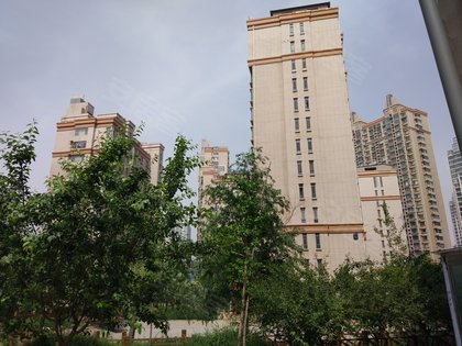邯鄲楓丹白露最新動態(tài)，游玩指南與技能學(xué)習(xí)步驟全解析