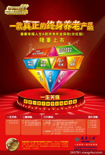 泰康贏家理財(cái)B，最新價(jià)格與家的溫馨理財(cái)故事