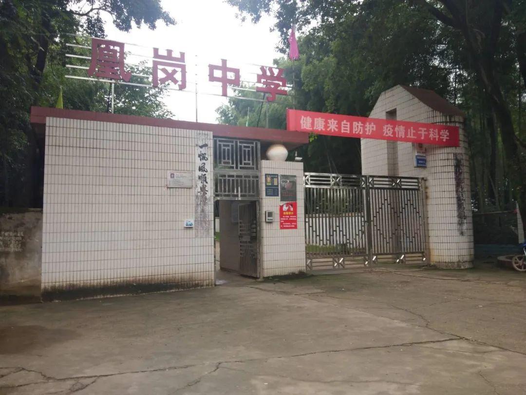 鄱陽凰崗自然美景探索之旅，追尋內(nèi)心平和的旅程最新消息