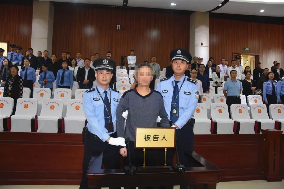 太子輝判刑最新消息，心靈之旅啟程之際