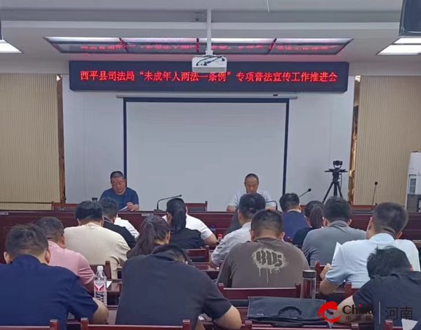 河南西平新聞最新動(dòng)態(tài)，小巷深處的獨(dú)特風(fēng)味
