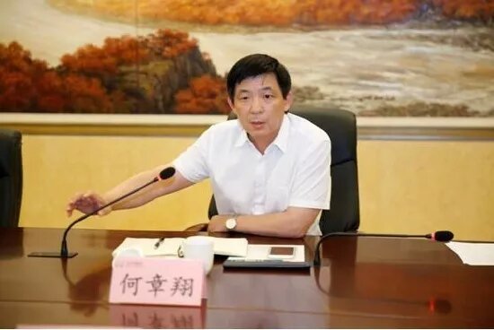 鎮(zhèn)江雷志強(qiáng)的最新任職，多維度視角下的深入探討
