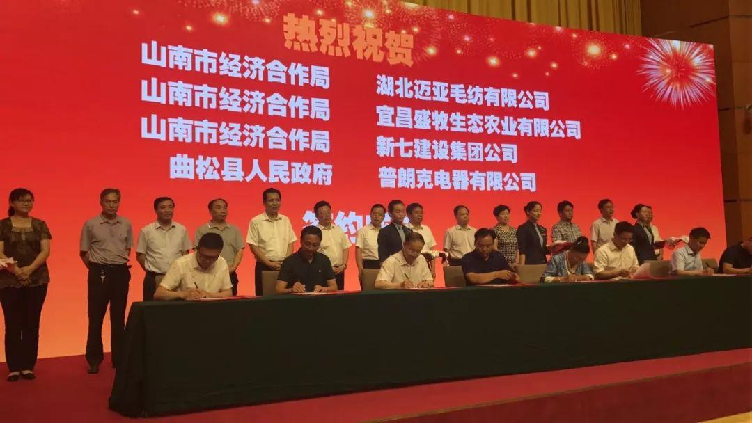 楊云彥的最新動態(tài)與消息更新