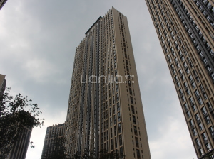 霸州天鵝灣最新動態(tài)，自然美景探索之旅，尋找內(nèi)心的寧靜與喜悅