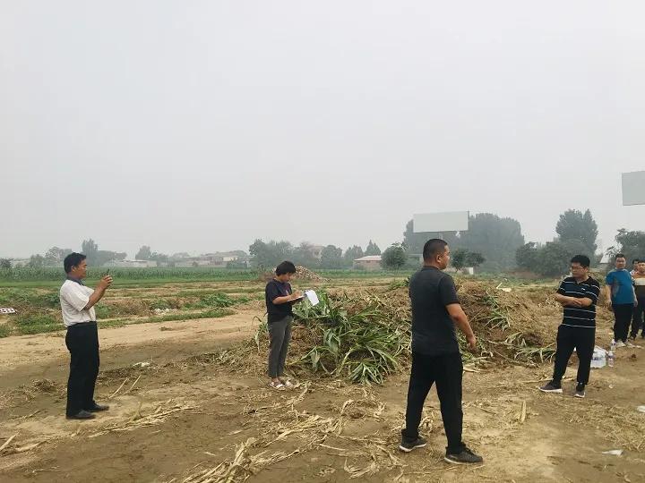 永年區(qū)最新工程項(xiàng)目，時(shí)代印記與未來(lái)展望之路